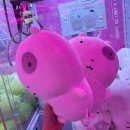 메가오락실 건대점 | 광진구 인형뽑기 성지 / 내돈내산 / 후기