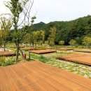 시어동 캠핑장 이미지