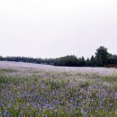 만발목장 이미지