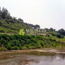 지산리 펜션 이미지