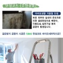 금호광택 이미지