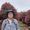 위미1리 이미지