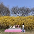 문막체육공원길 이미지