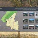 (유)삼일렌터카 이미지