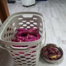 신석기추어탕 이미지