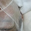 디유아이인테리어 | 부천 속눈썹펌, 자연스러운 변화가 궁금할 때 읽어볼 후기