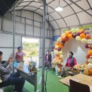 영정농장 이미지