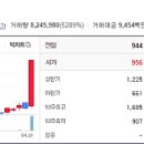 ㈜체시스 이미지