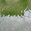 거북당약국 이미지