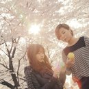 소보세탁소 이미지