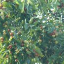 한일여인숙 이미지