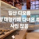 노모어피자 파주운정점