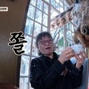 아모트
