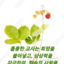 만수2동-22 이미지