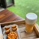 카페홍시궁