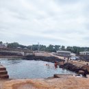 소롱코지 | [2022.11.17]제주 숨은명소 예쁜바다 태웃개, 표선근처 남원 숲길 오름 머체왓숲길