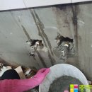 부강타일 이미지