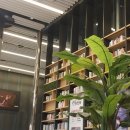부흥세탁소 | [영화리뷰] 올해 첫 영화, &lt;엘리멘탈&gt;! 후회 없는 선택 | 같이 보면 좋은 영화 &lt;에브리씽 에브리웨어 올...