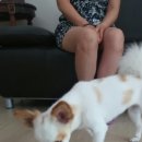 공해방지빌라 이미지