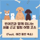 대부도 바다 애견 펜션 개꿀하우스 | 반려견과 함께 떠나는 서울 근교 여행 코스 추천 | 서울 근교 애견 동반 숙소 추천