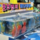 일이삼수산 이미지