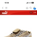 와이와이존 이미지