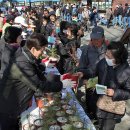 생명나무숲 이미지