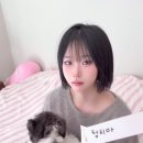 뽑힌대로 입어주는 누나 이미지