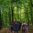 우장산둘레길 이미지