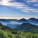 샘물식당 - 안산시 단원구 | 샘물식당