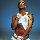 종합운동장 실내체육관 이미지