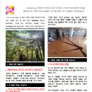 공존 예술창작 스튜디오 이미지