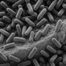 닥터준치과교정과치과의원 이미지