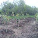 남부농원 이미지