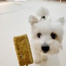 냠냠밸런스 이미지