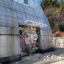 보성농장 | 보성 다향농장 아이랑 다녀온 후기, 바나나체험&amp;바나나피자 만들기