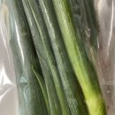 리취8로마 이미지