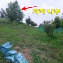 복나눔공인중개사사무소 이미지