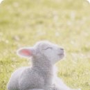 재림목장 이미지