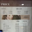 헤어망고플러스