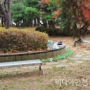염전로 이미지