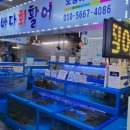 근영상사 | 2025 IBK 배 전국 중고 배구대회 개최 알림