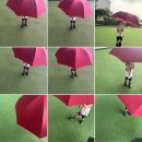 가족뮤지컬<누가 내 머리에 똥 쌌어> | 한국 잡월드 나래율극장 ‘ 누가 내 머리에 똥 쌌어 ? ’ 뮤지컬 관람 후기