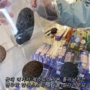 보름도본본
