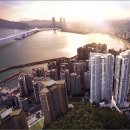 테넌바움294 이미지