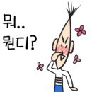 보스참치 이미지