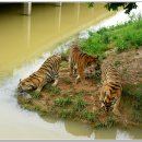 계림산장 이미지