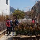 고창군산림조합