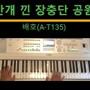 안개 낀 장충단 공원-배호(A-T135) 이미지