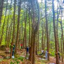 두레마을 이미지